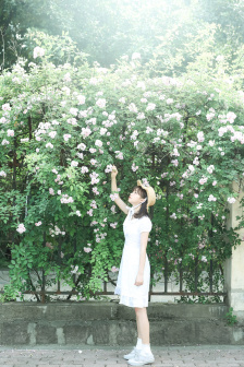 麻美由真全集